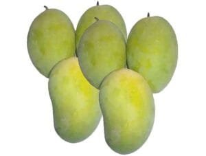 FFG Chausa Mango