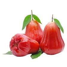 Bengal Rose Apple