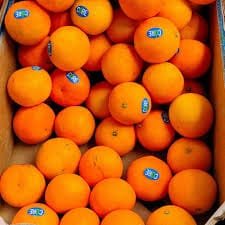 New Zealand Mini Orange